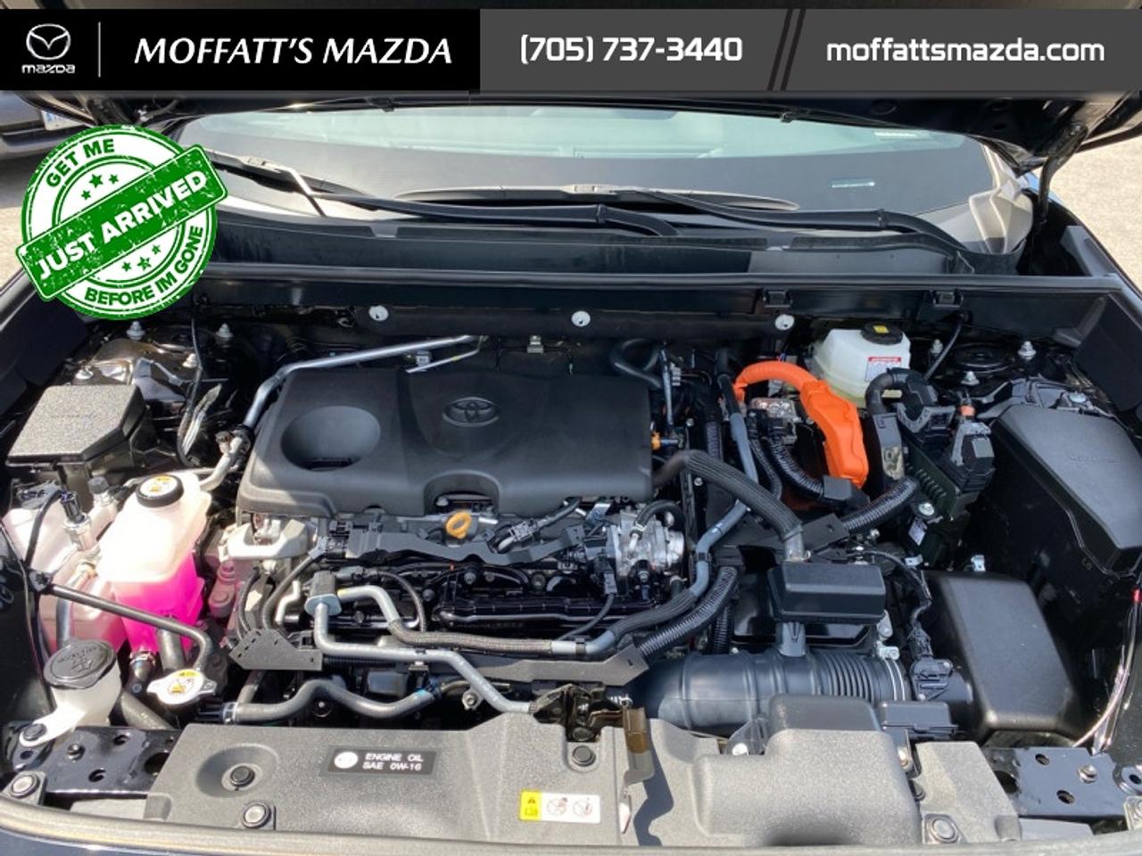 2024 Toyota RAV4 Hybrid SE Photo