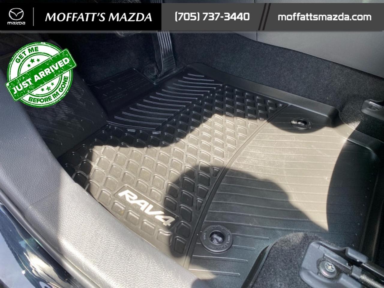 2024 Toyota RAV4 Hybrid SE Photo