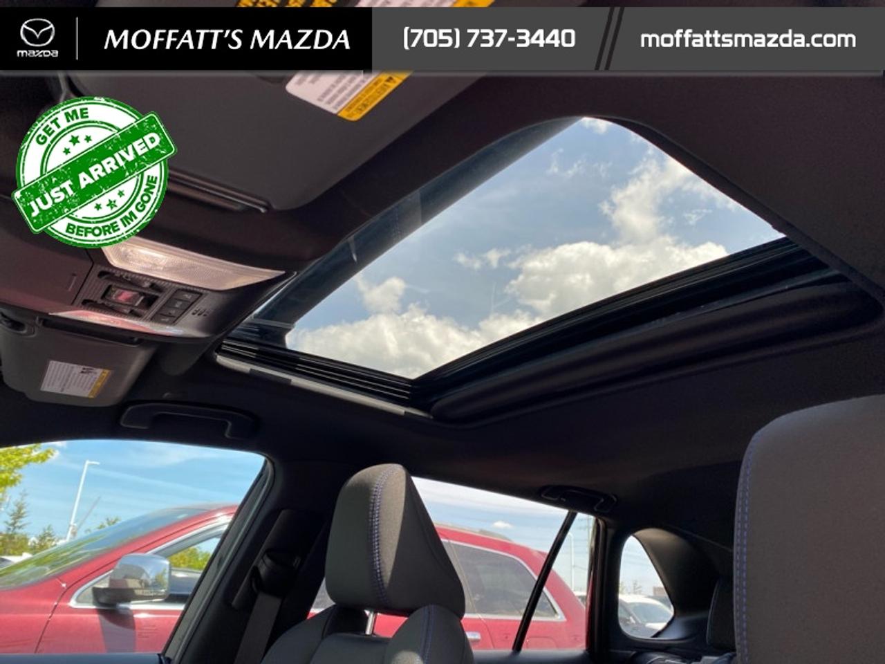 2024 Toyota RAV4 Hybrid SE Photo
