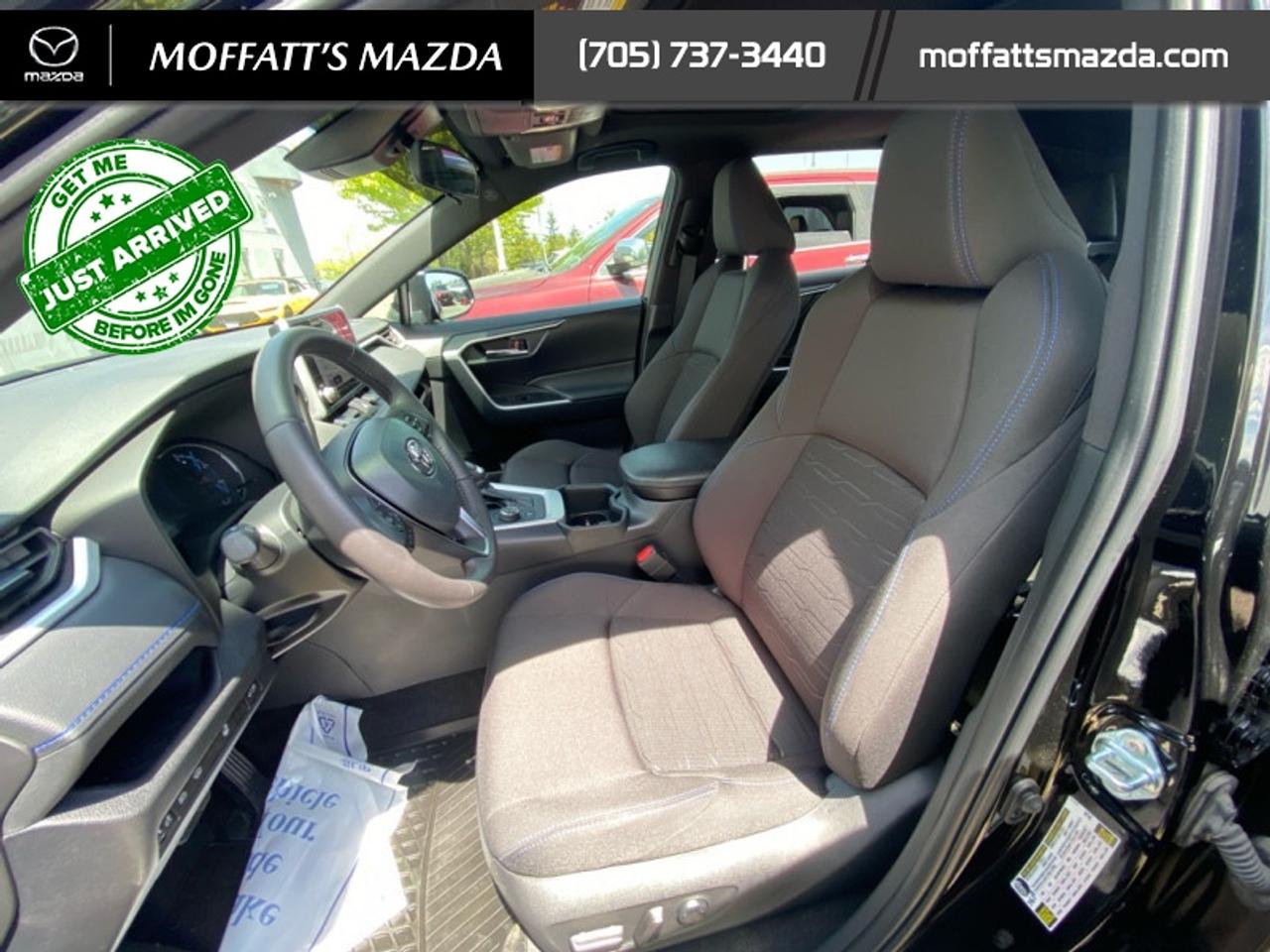 2024 Toyota RAV4 Hybrid SE Photo