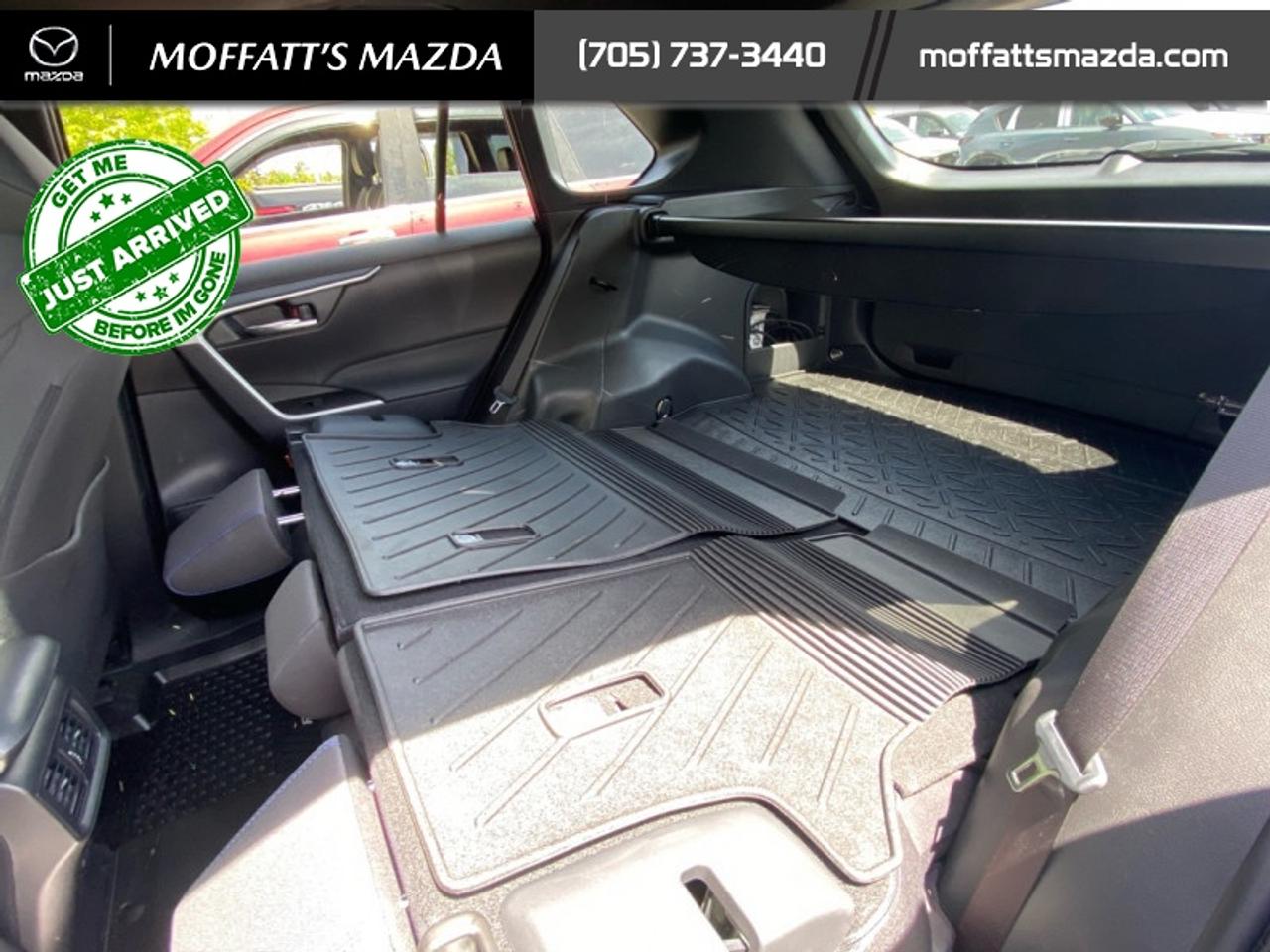 2024 Toyota RAV4 Hybrid SE Photo