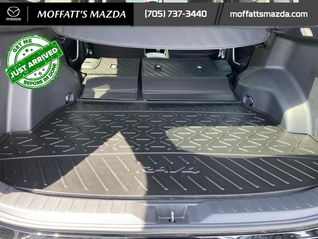 2024 Toyota RAV4 Hybrid SE Photo