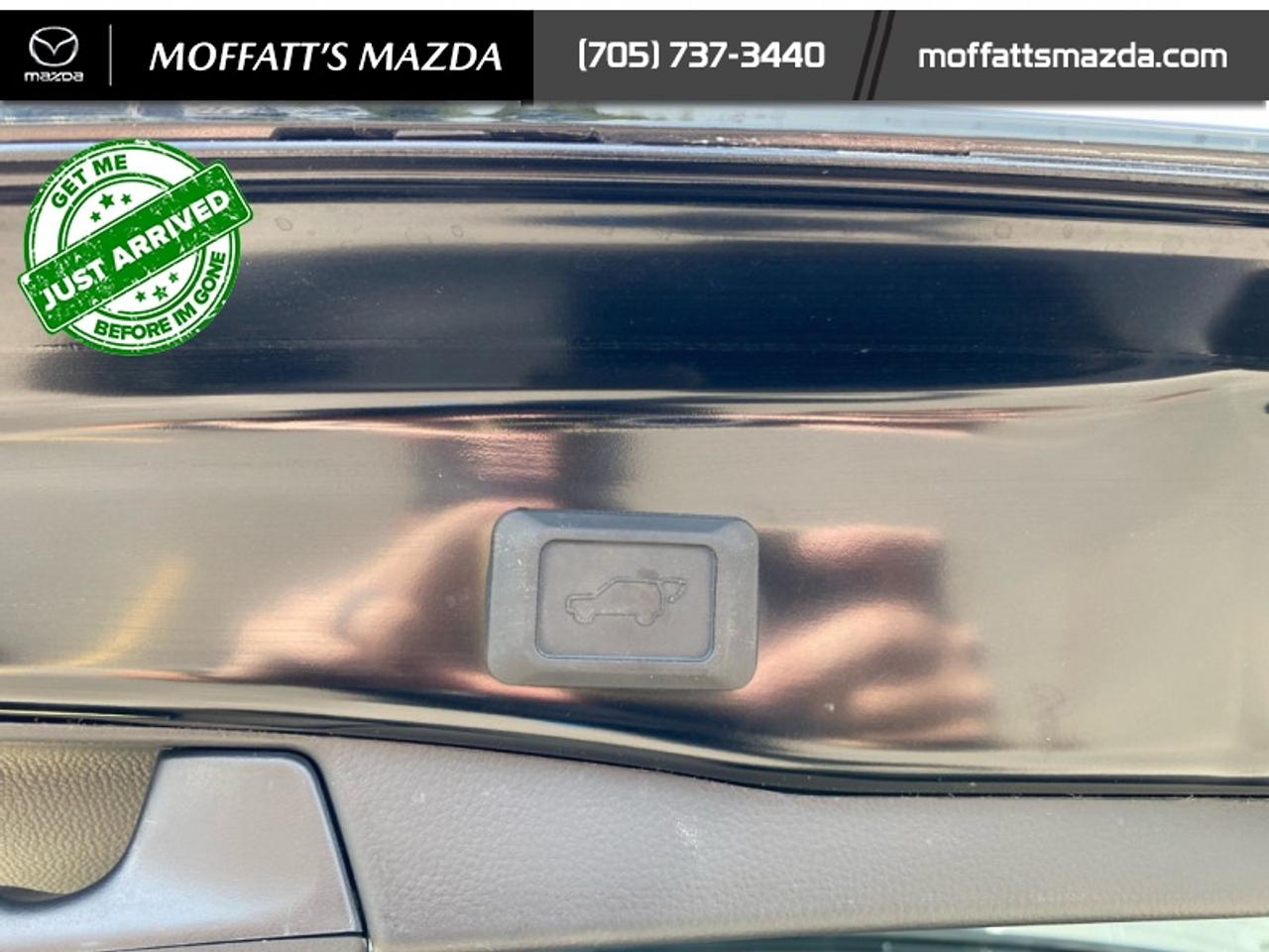 2024 Toyota RAV4 Hybrid SE Photo