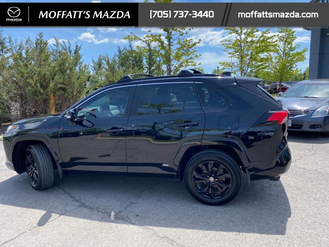 2024 Toyota RAV4 Hybrid SE Photo
