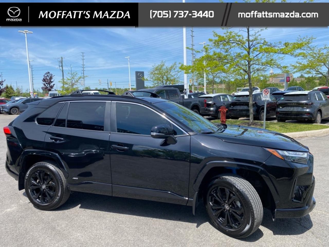 2024 Toyota RAV4 Hybrid SE Photo