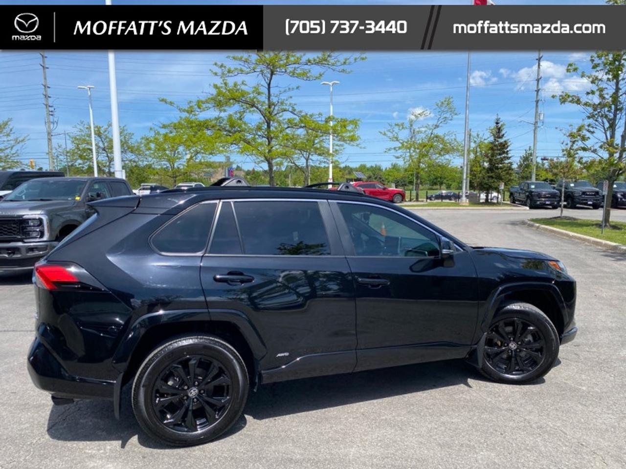 2024 Toyota RAV4 Hybrid SE Photo