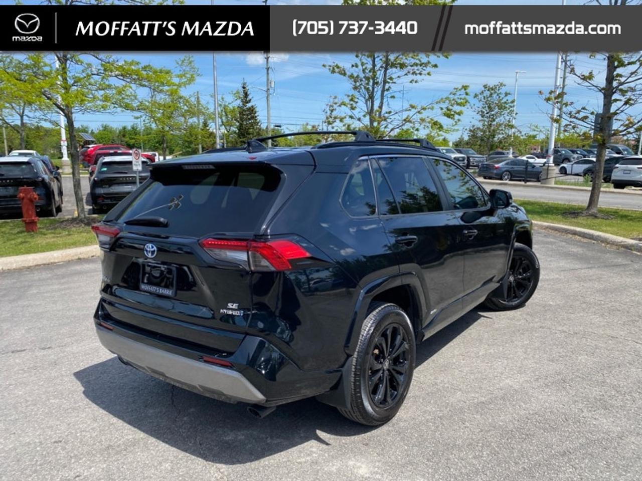 2024 Toyota RAV4 Hybrid SE Photo