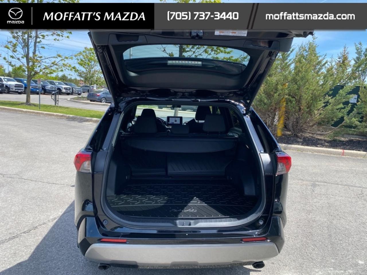 2024 Toyota RAV4 Hybrid SE Photo