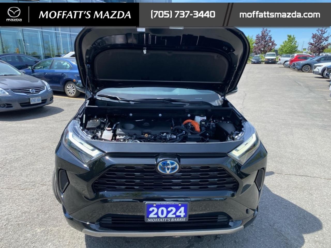 2024 Toyota RAV4 Hybrid SE Photo