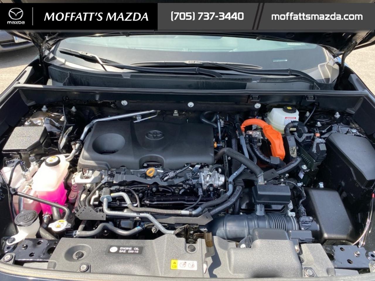 2024 Toyota RAV4 Hybrid SE Photo