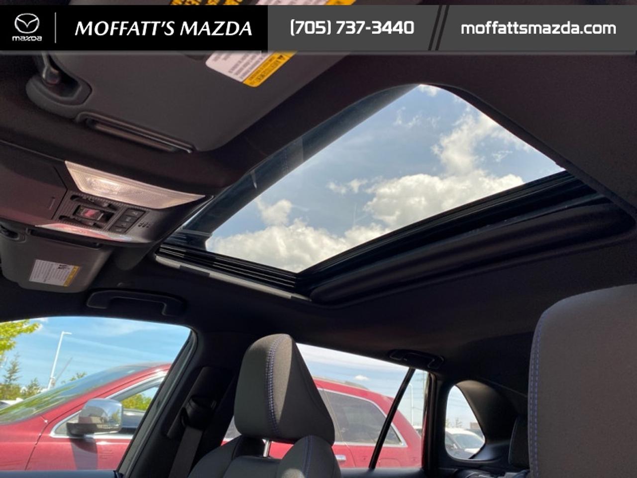 2024 Toyota RAV4 Hybrid SE Photo