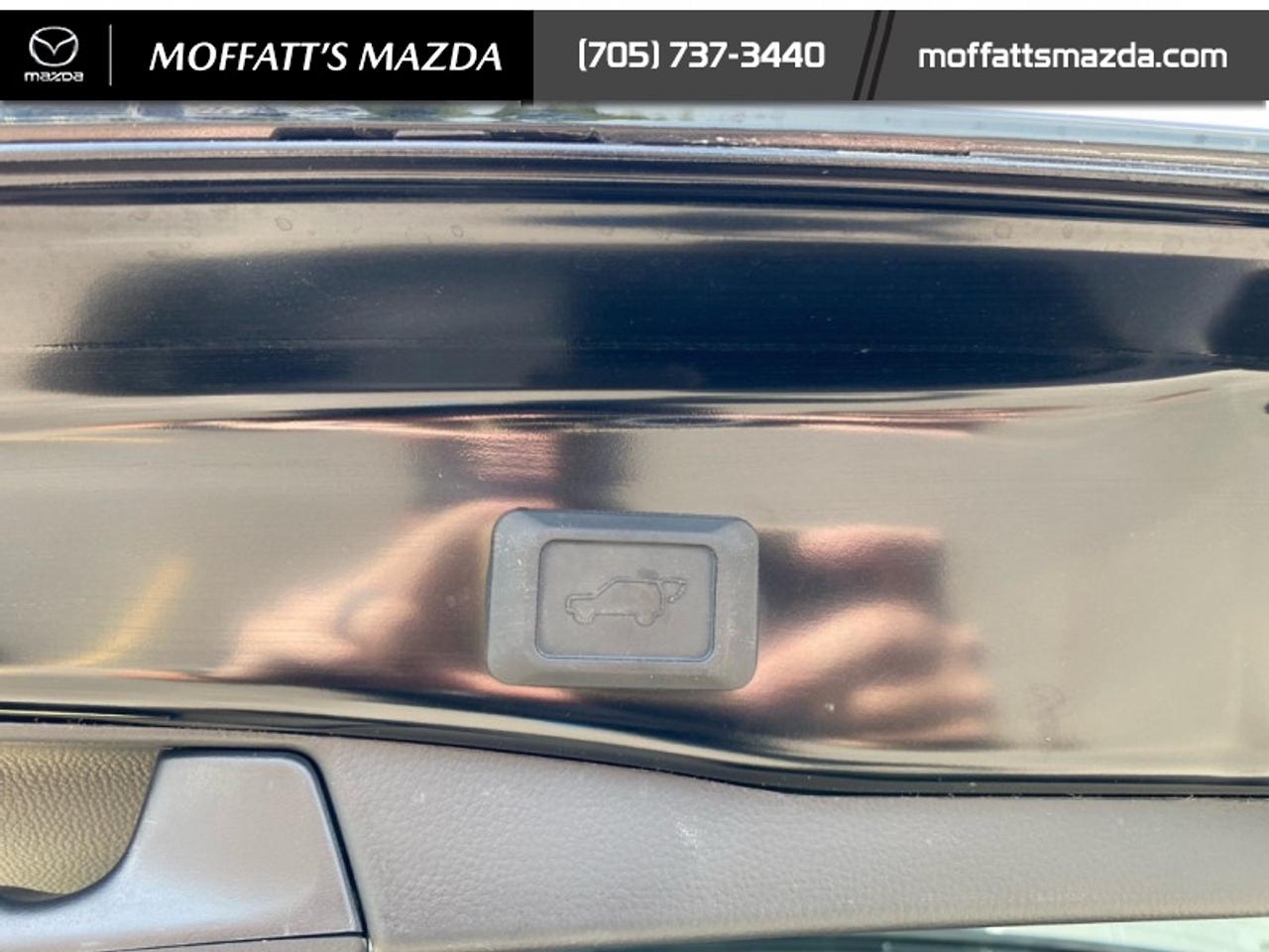 2024 Toyota RAV4 Hybrid SE Photo