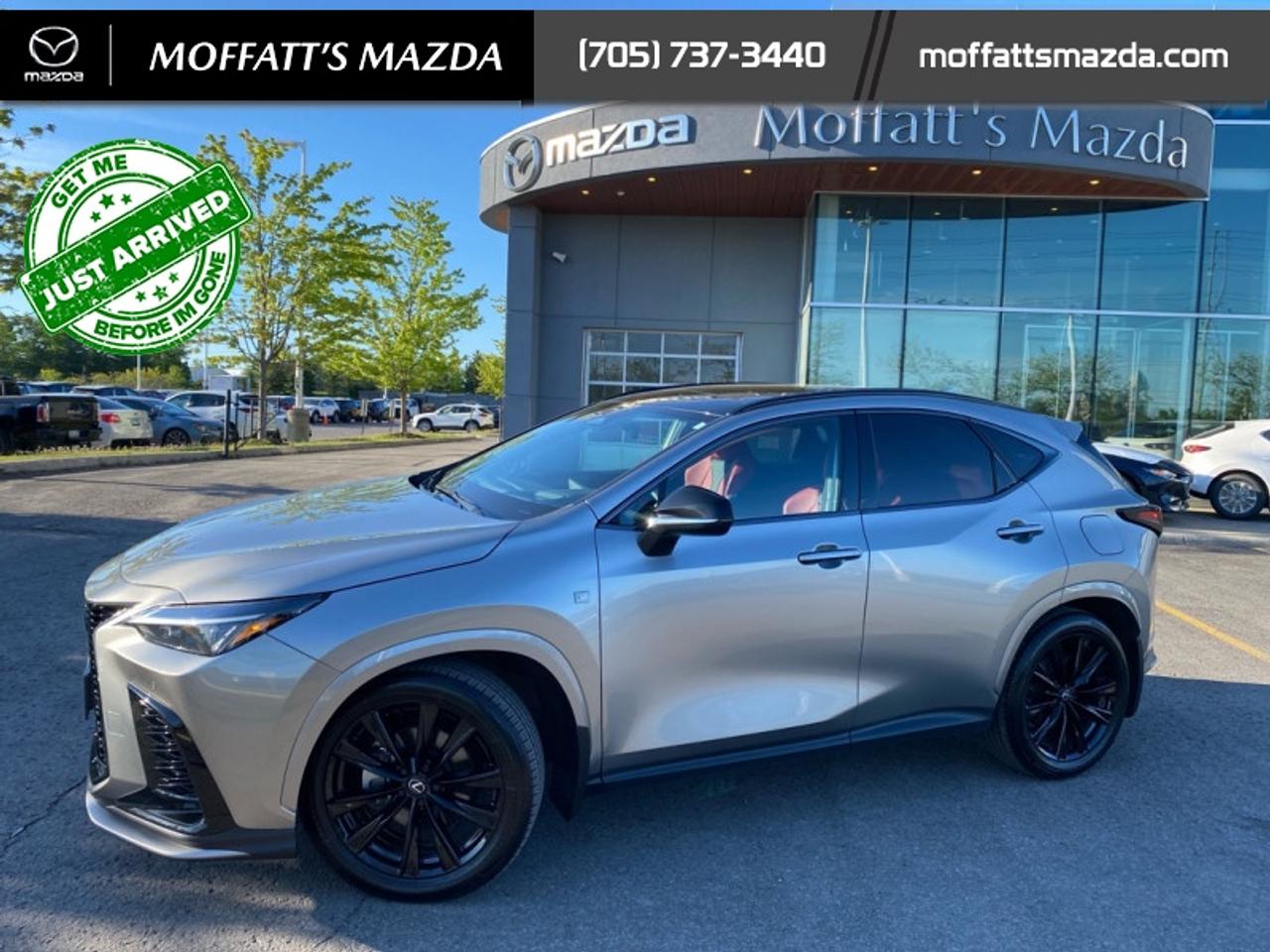 2024 Lexus NX 350 Photo