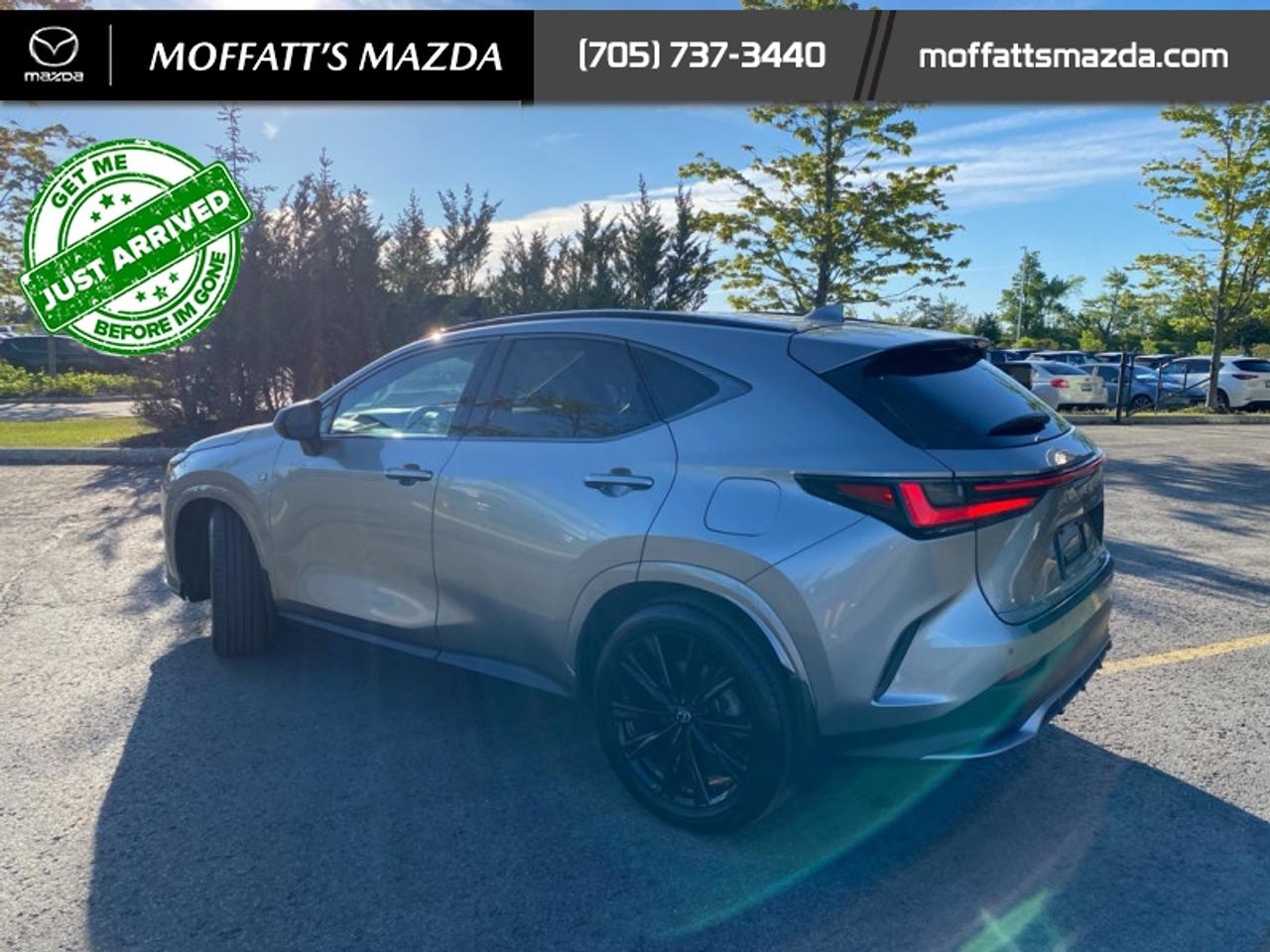 2024 Lexus NX 350 Photo3