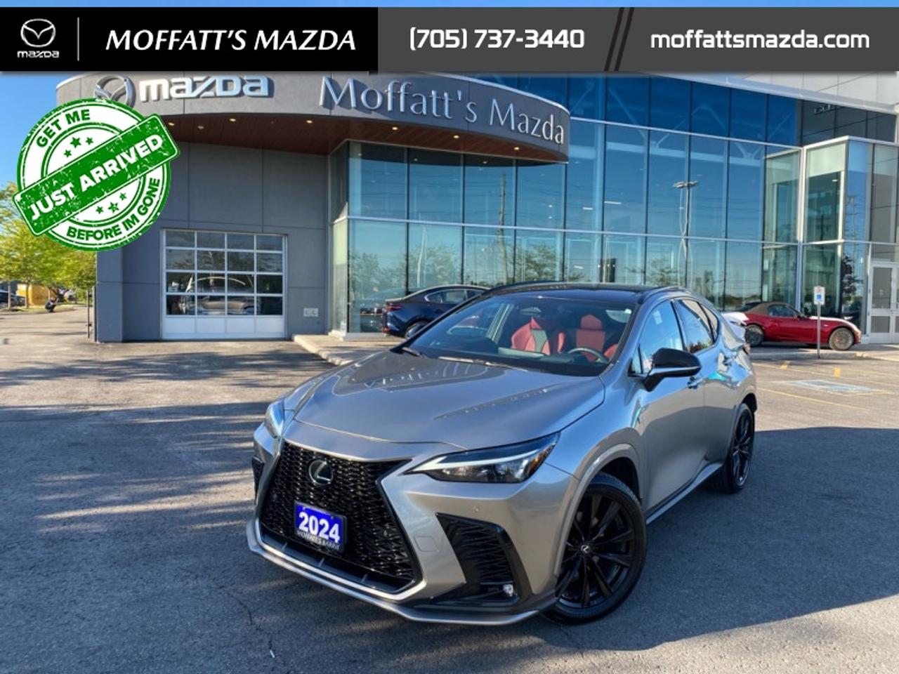 2024 Lexus NX 350 Photo