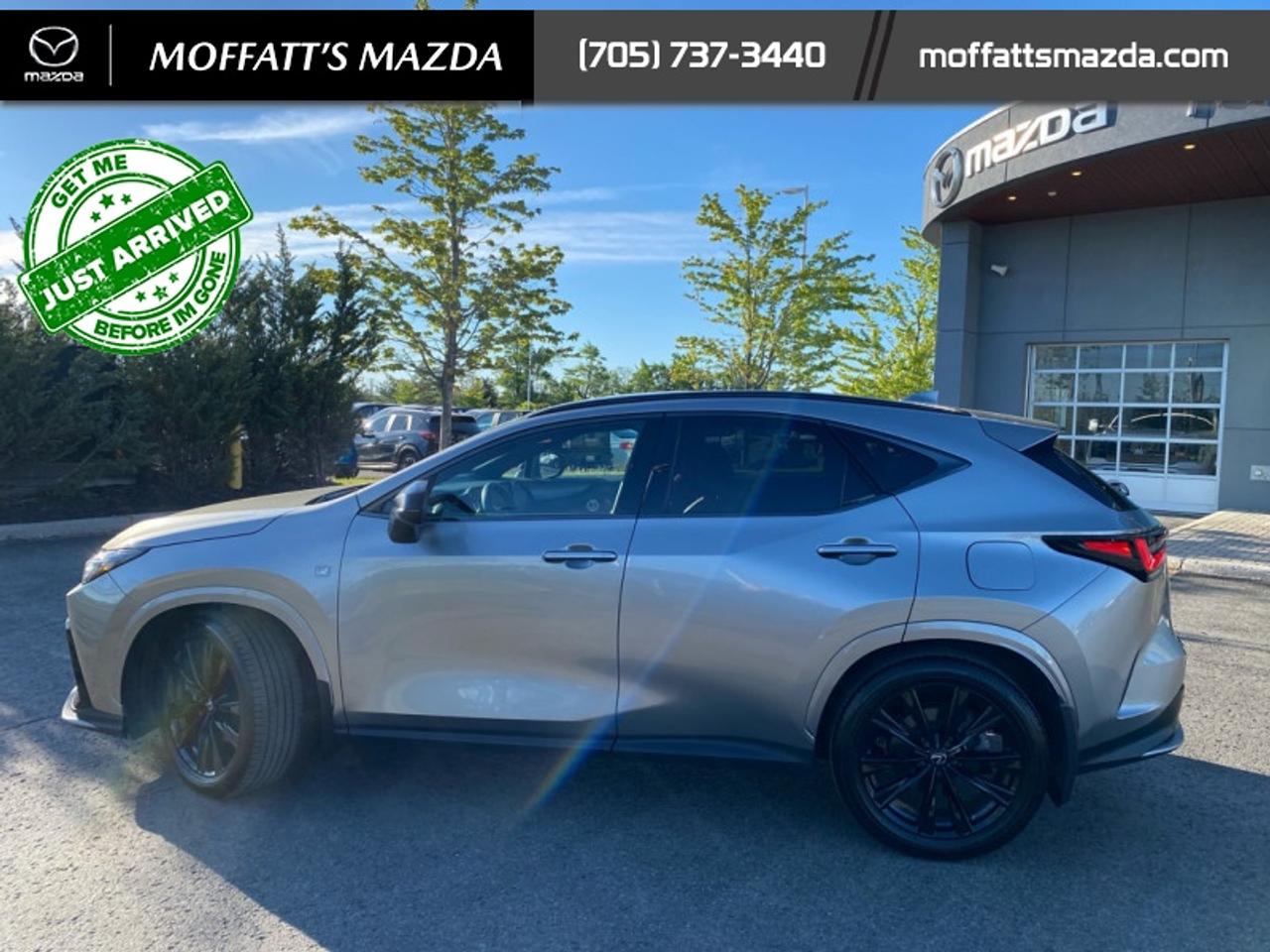 2024 Lexus NX 350 Photo