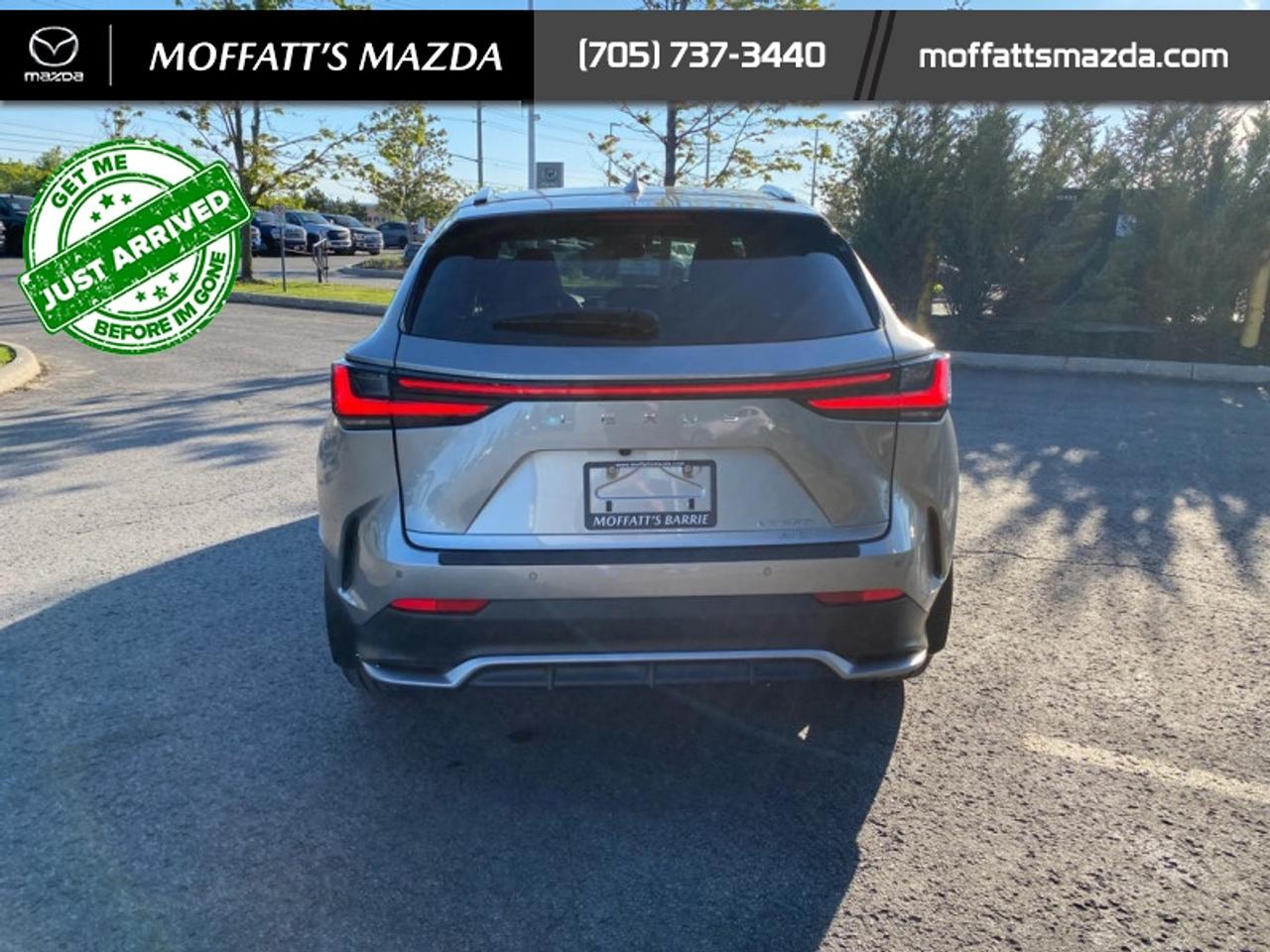 2024 Lexus NX 350 Photo