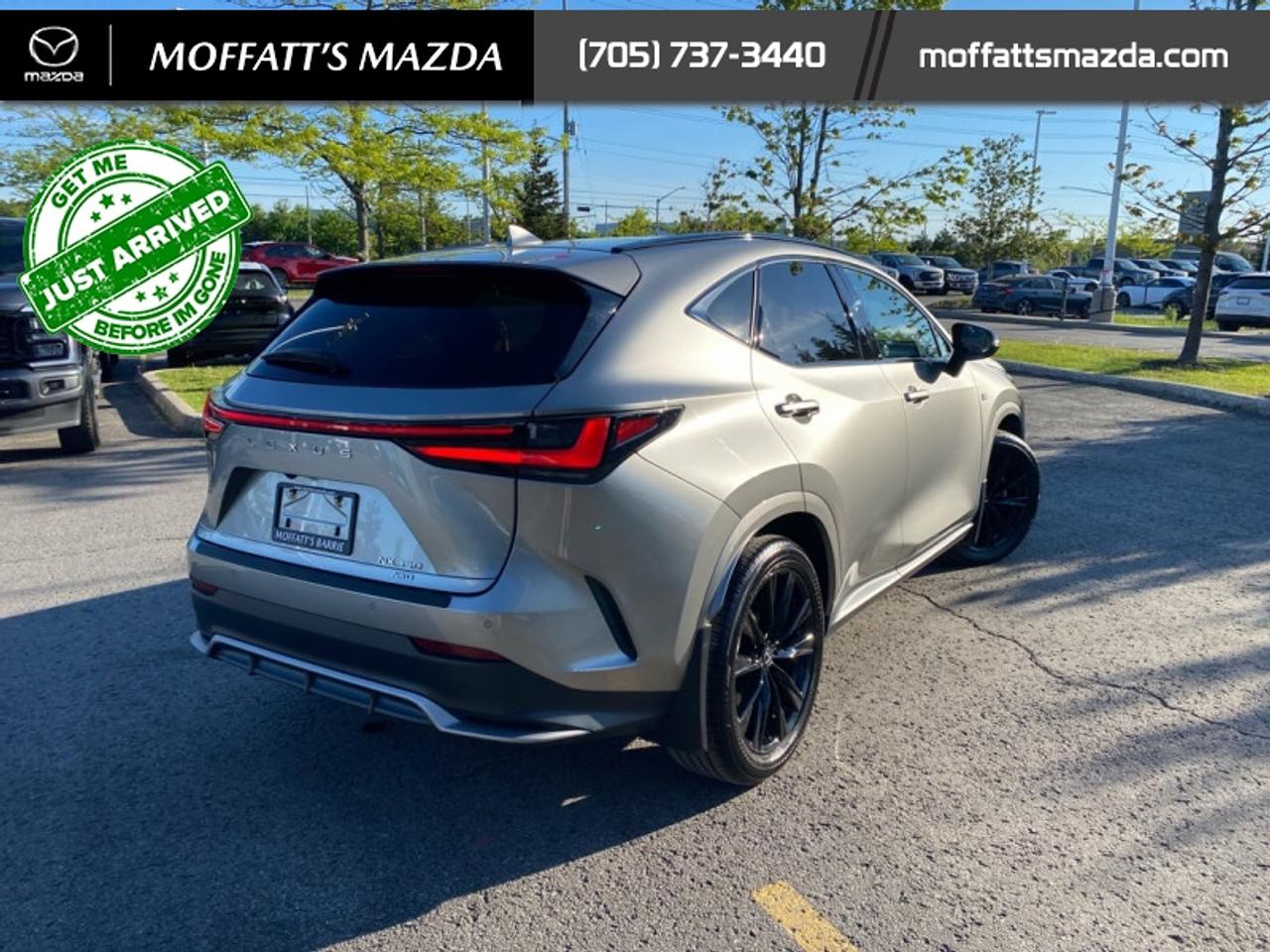 2024 Lexus NX 350 Photo