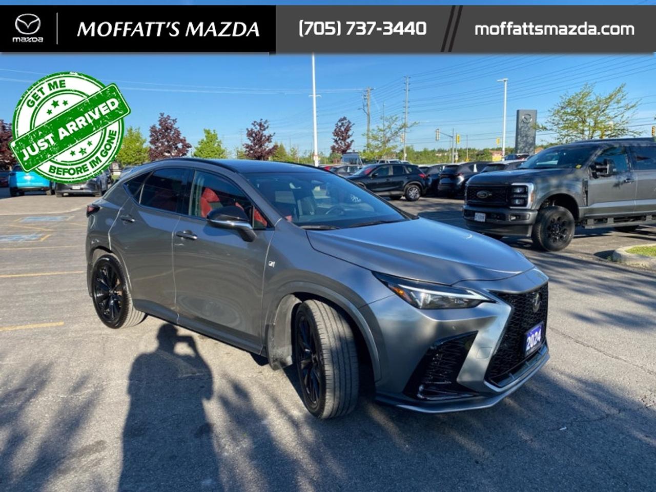 2024 Lexus NX 350 Photo