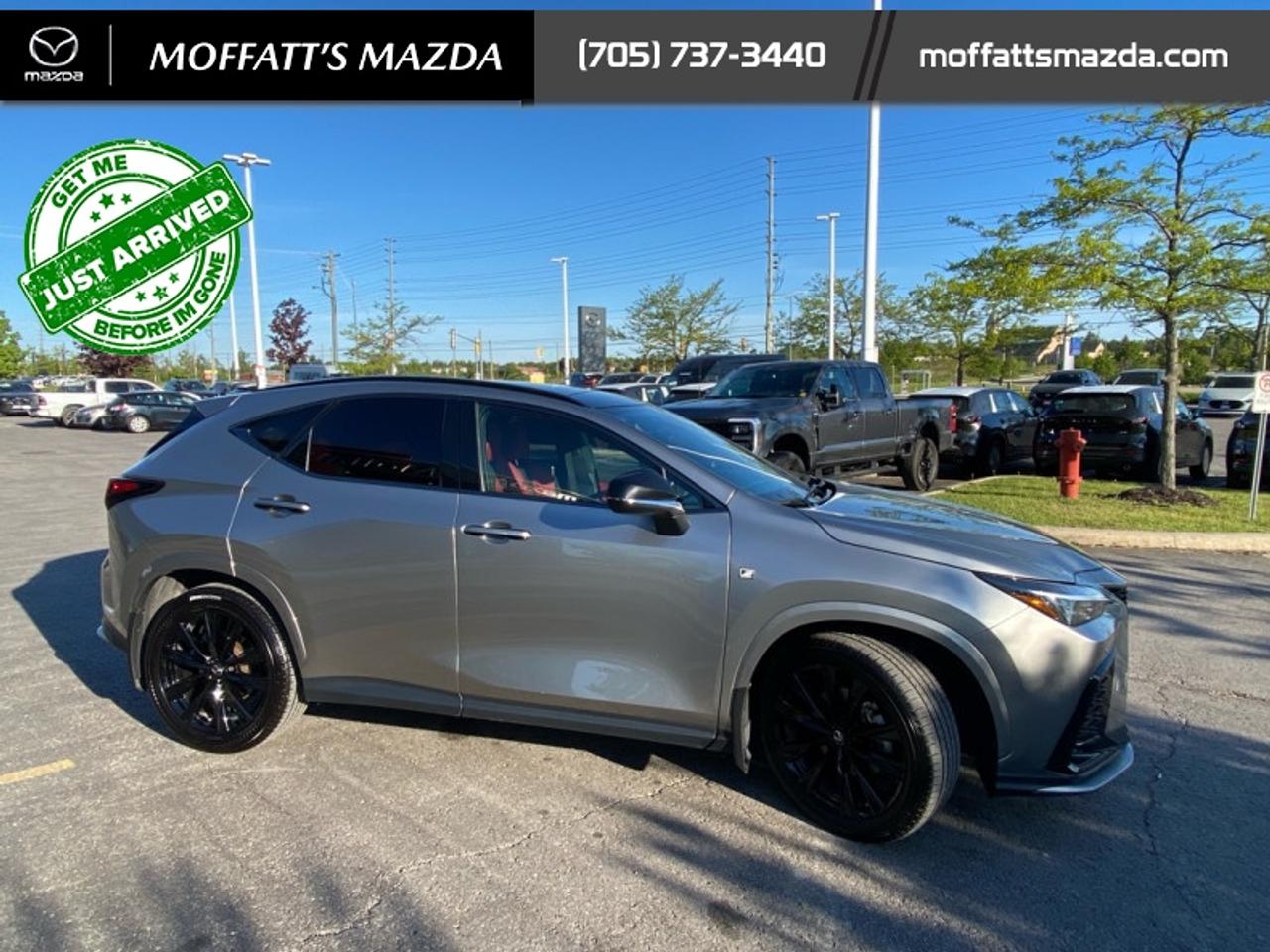 2024 Lexus NX 350 Photo