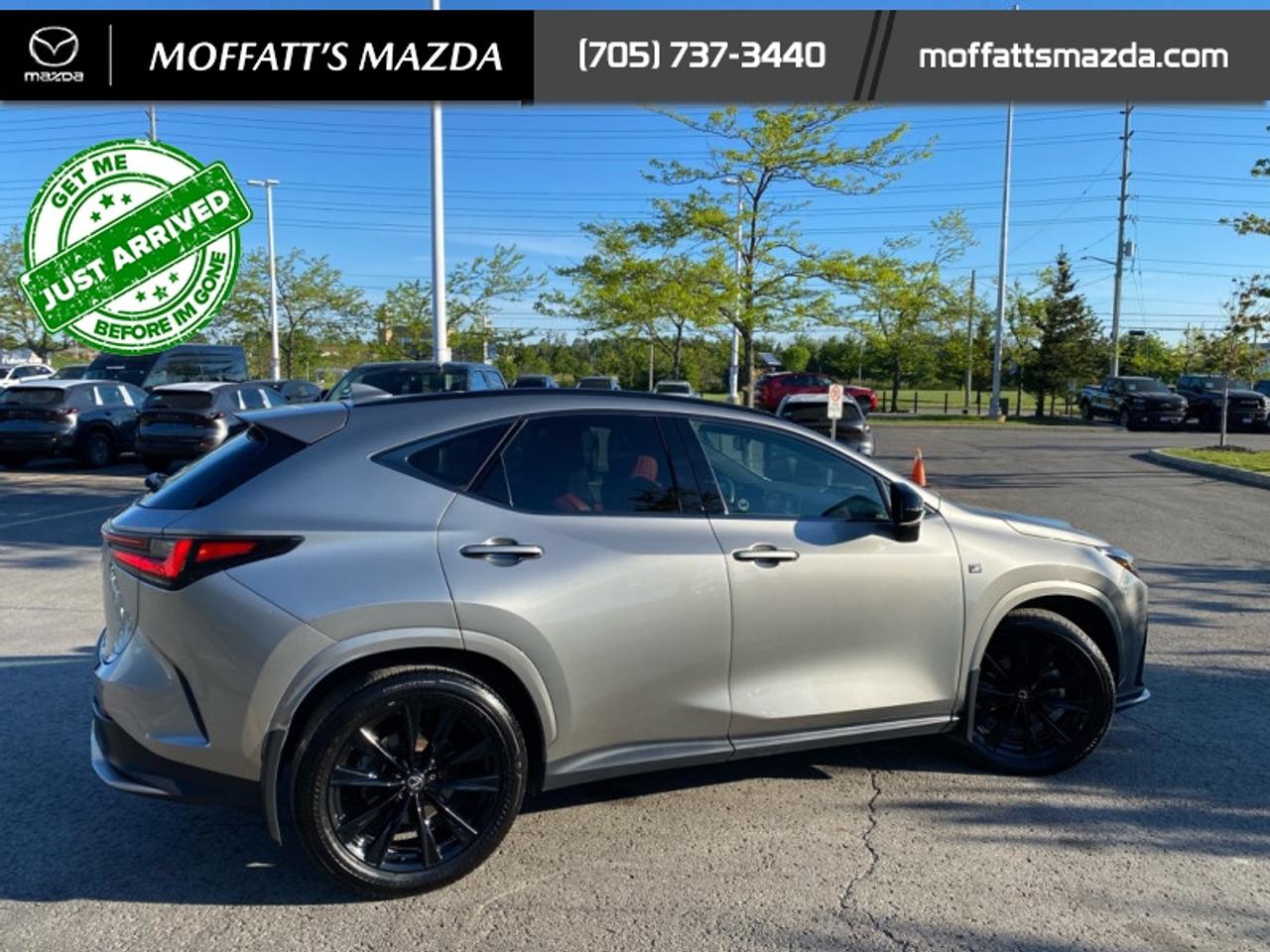 2024 Lexus NX 350 Photo