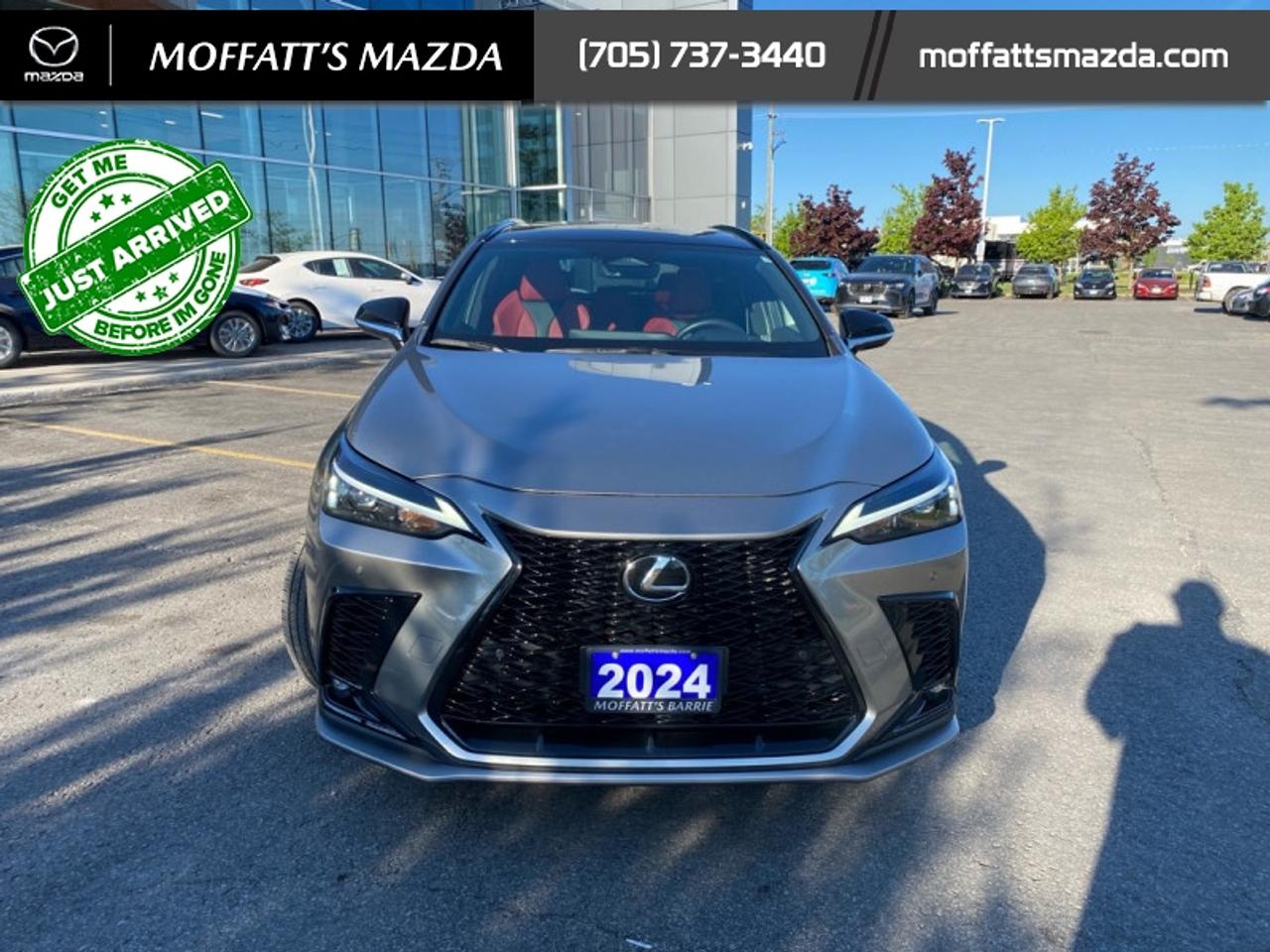 2024 Lexus NX 350 Photo