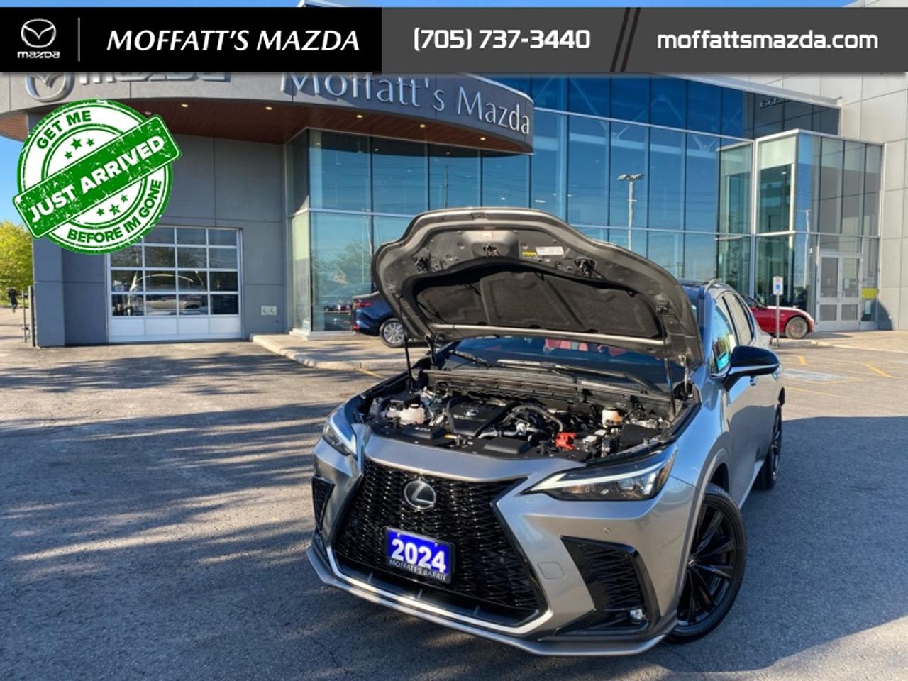 2024 Lexus NX 350 Photo