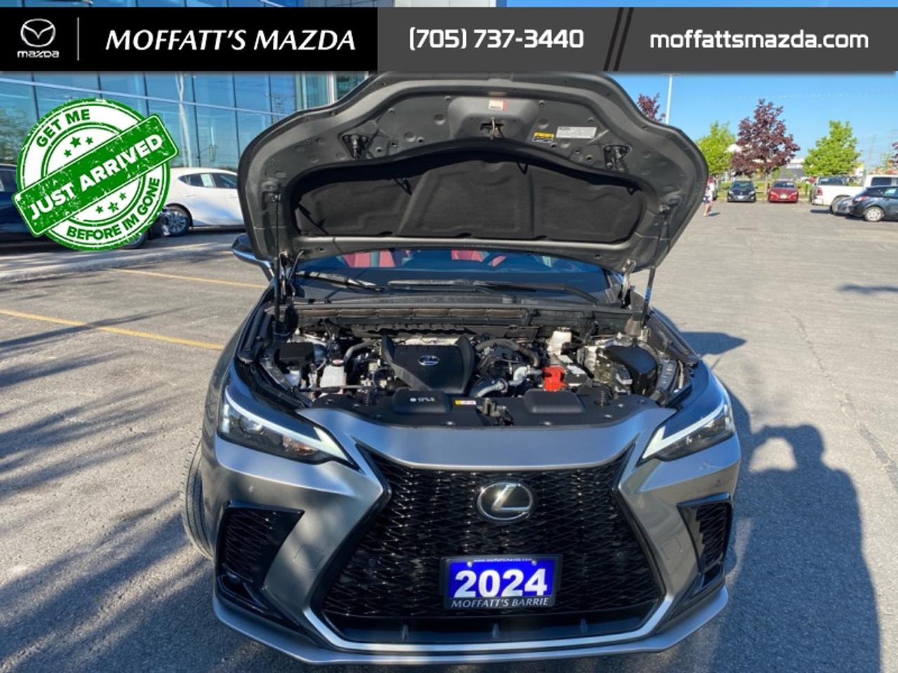 2024 Lexus NX 350 Photo