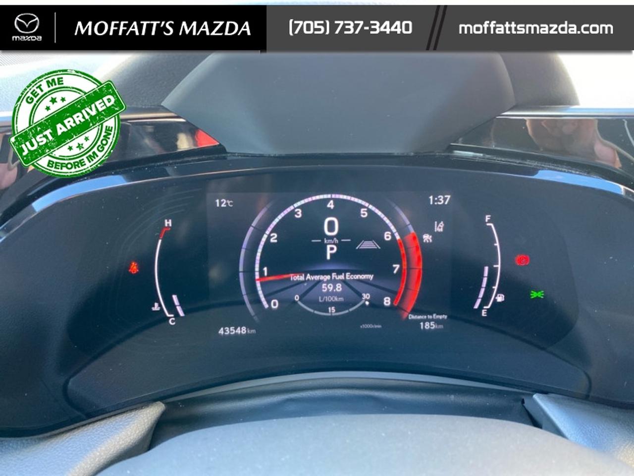 2024 Lexus NX 350 Photo