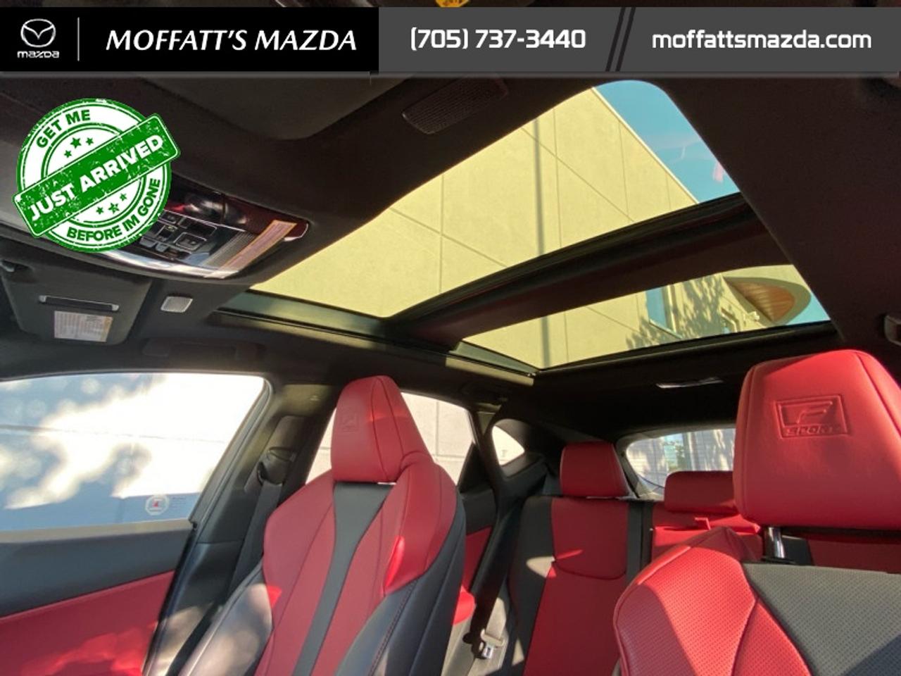 2024 Lexus NX 350 Photo
