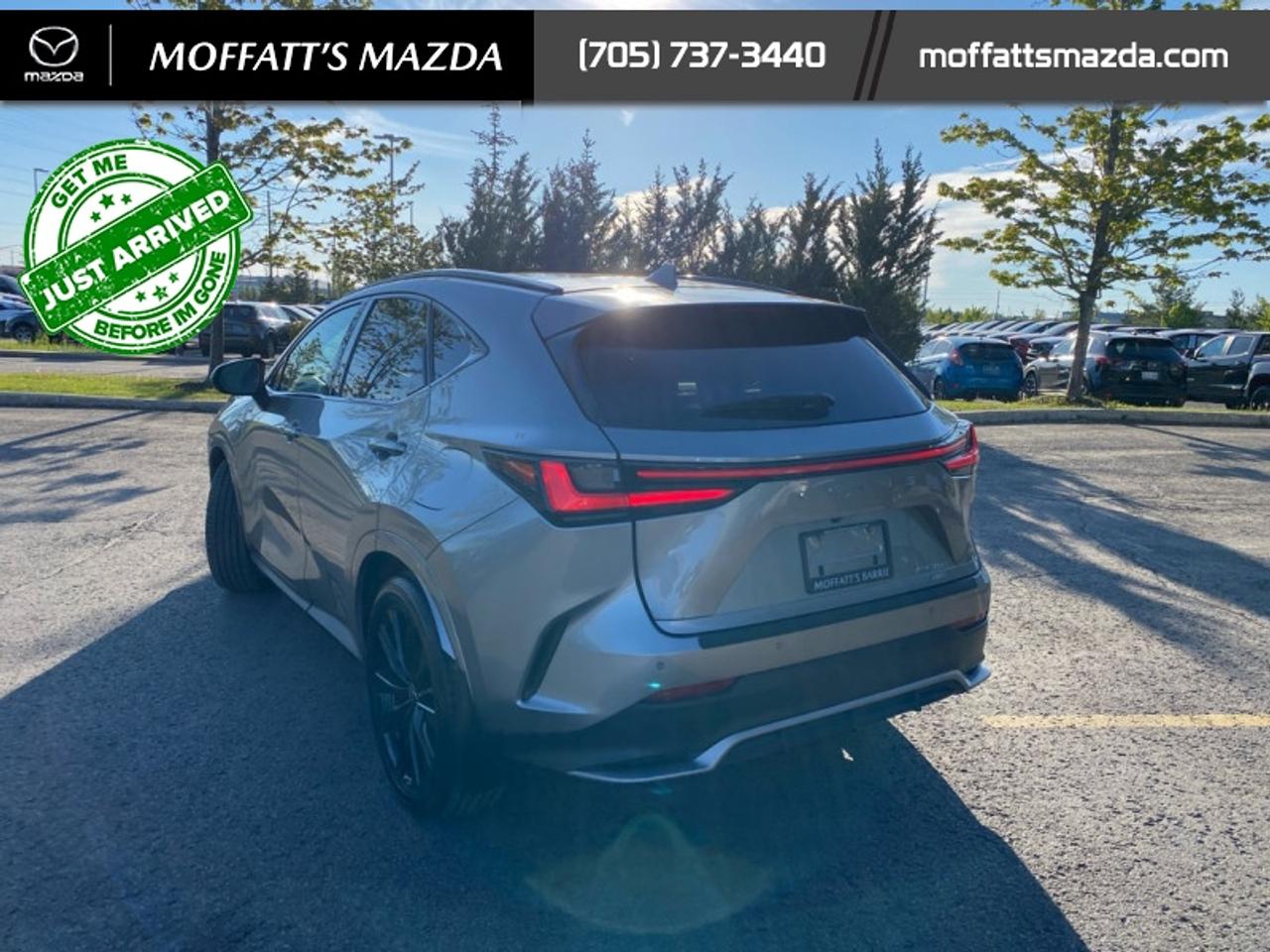 2024 Lexus NX 350 Photo