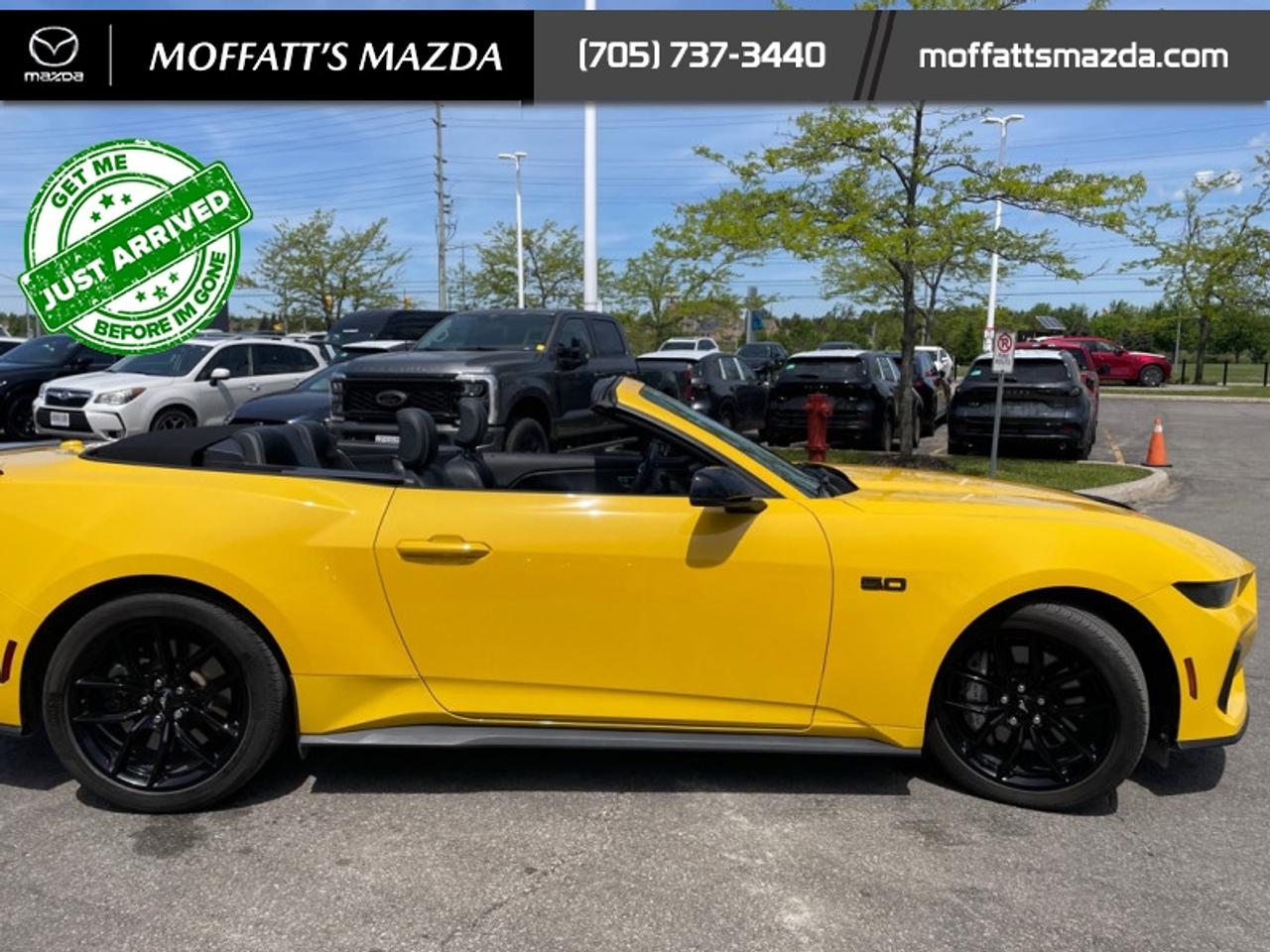 2024 Ford Mustang GT Premium Convertible Photo
