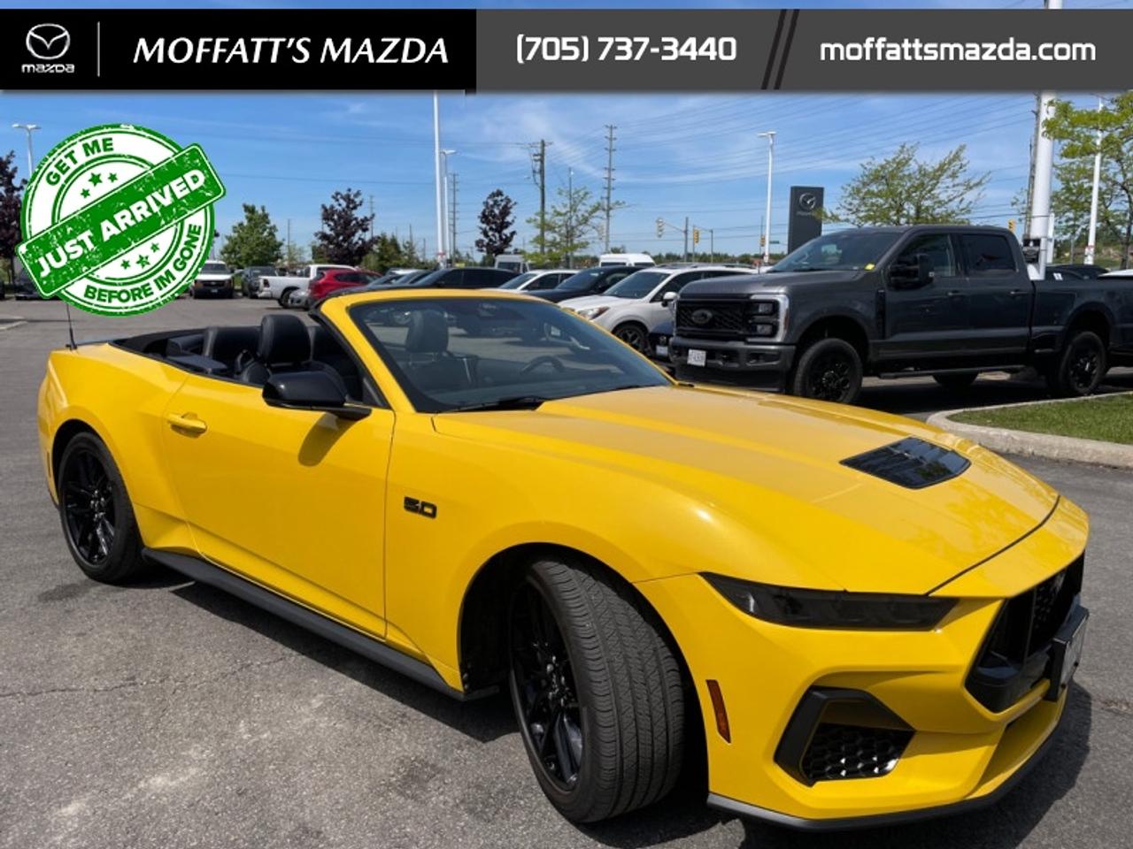 2024 Ford Mustang GT Premium Convertible Photo