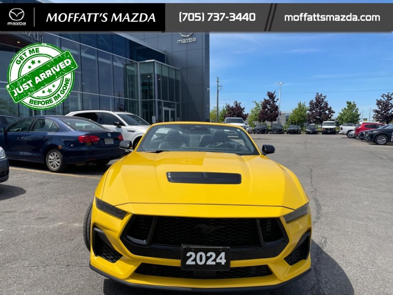 2024 Ford Mustang GT Premium Convertible Photo
