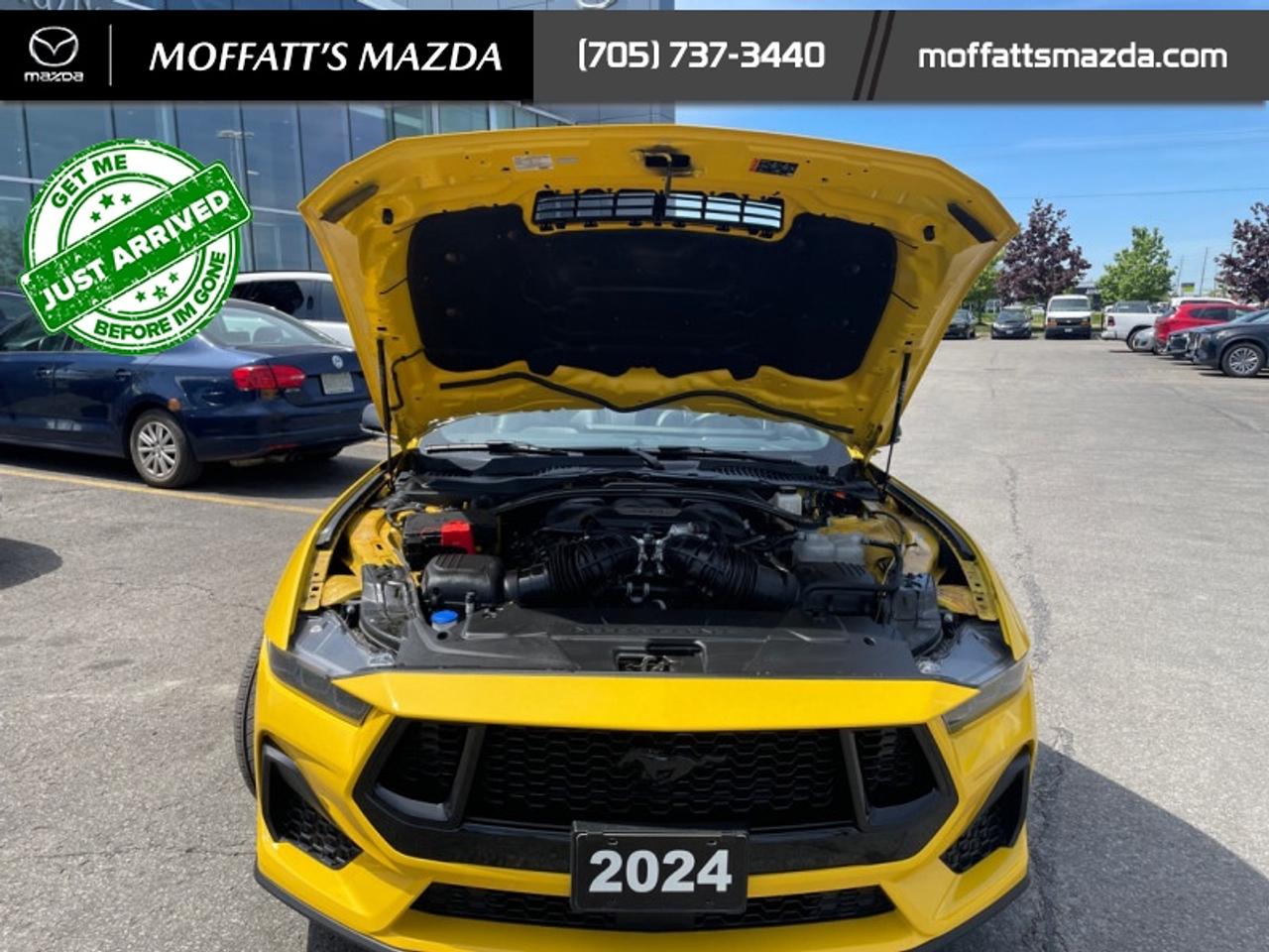 2024 Ford Mustang GT Premium Convertible Photo