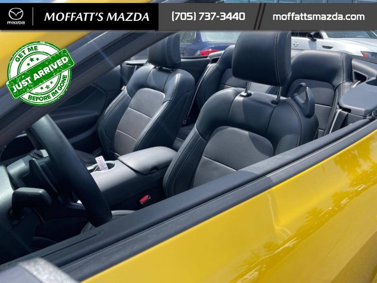 2024 Ford Mustang GT Premium Convertible Photo