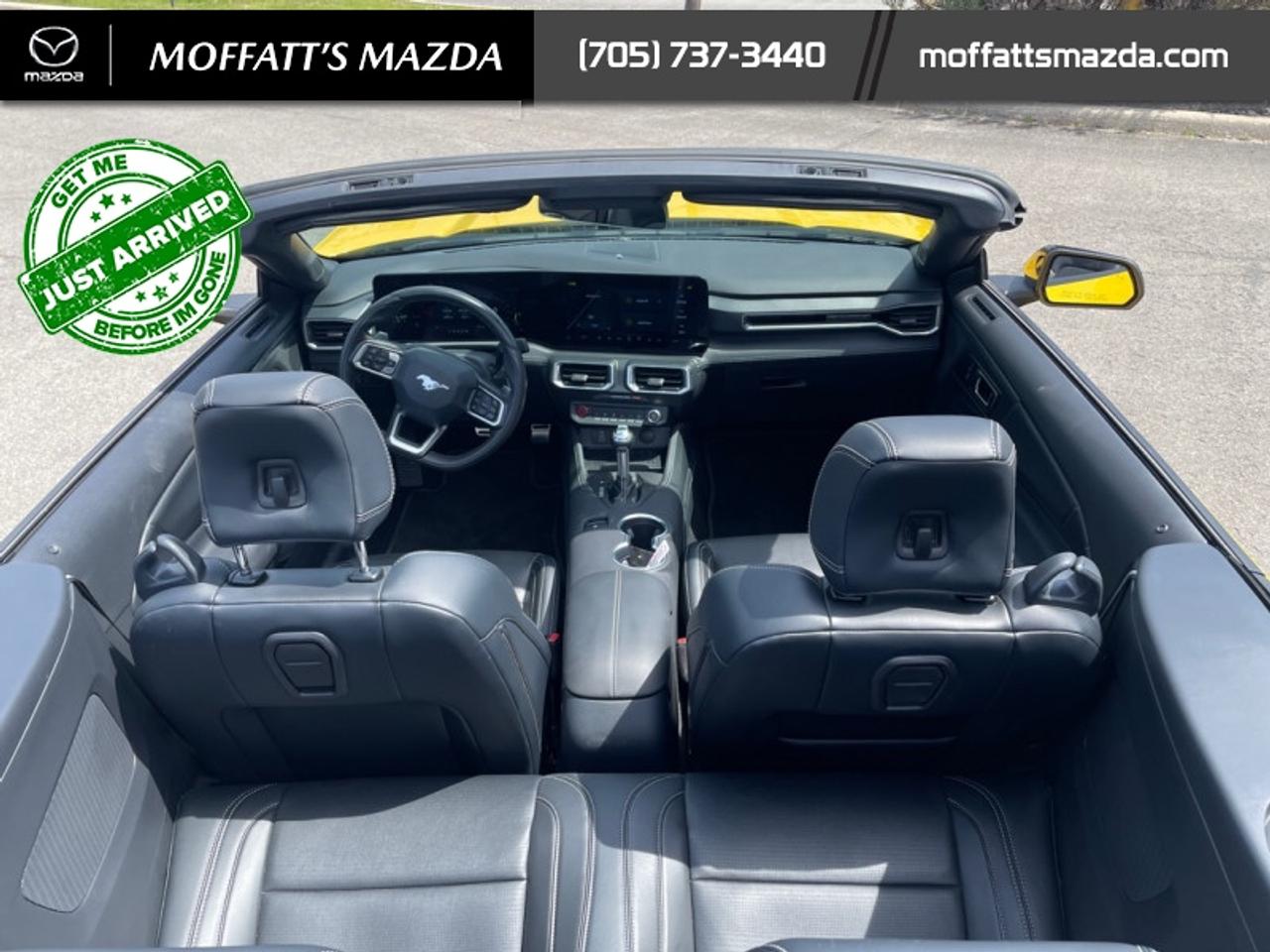2024 Ford Mustang GT Premium Convertible Photo