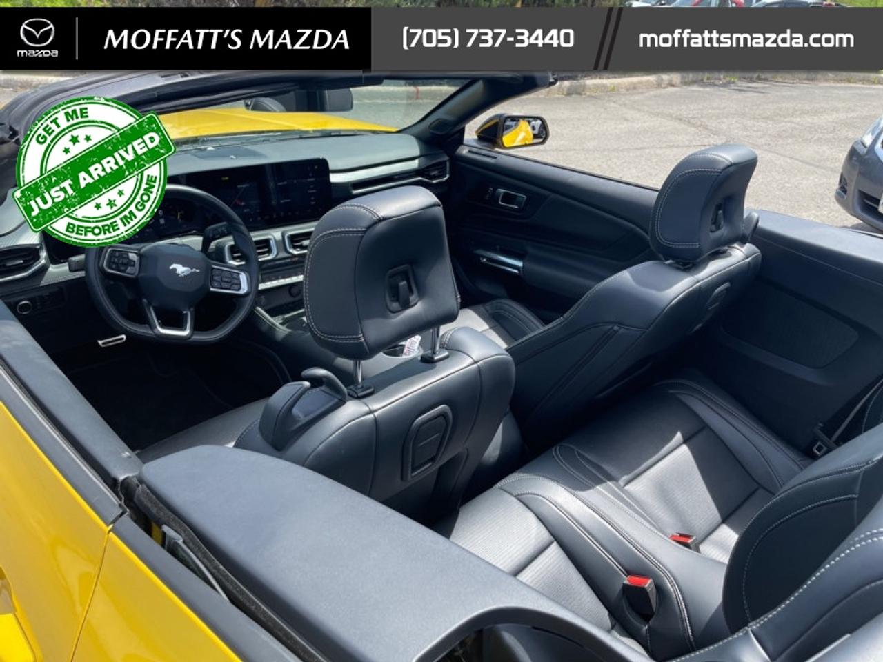 2024 Ford Mustang GT Premium Convertible Photo