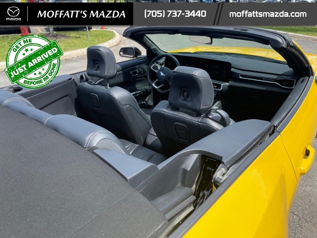 2024 Ford Mustang GT Premium Convertible Photo