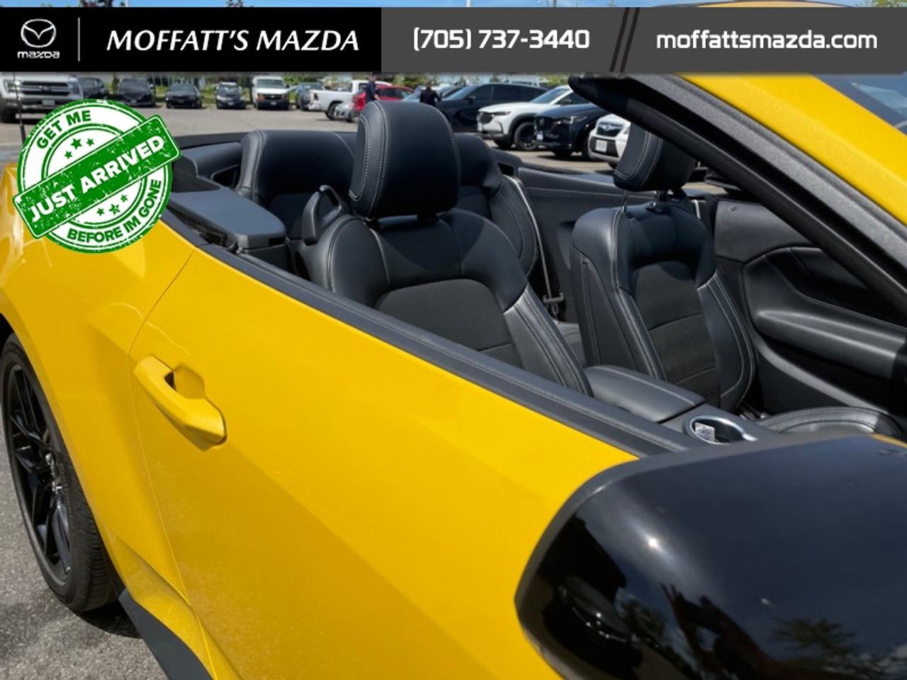 2024 Ford Mustang GT Premium Convertible Photo