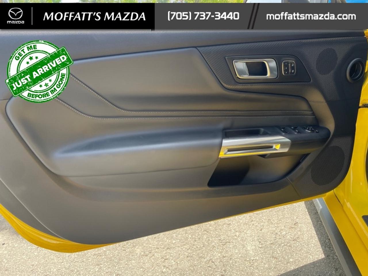 2024 Ford Mustang GT Premium Convertible Photo