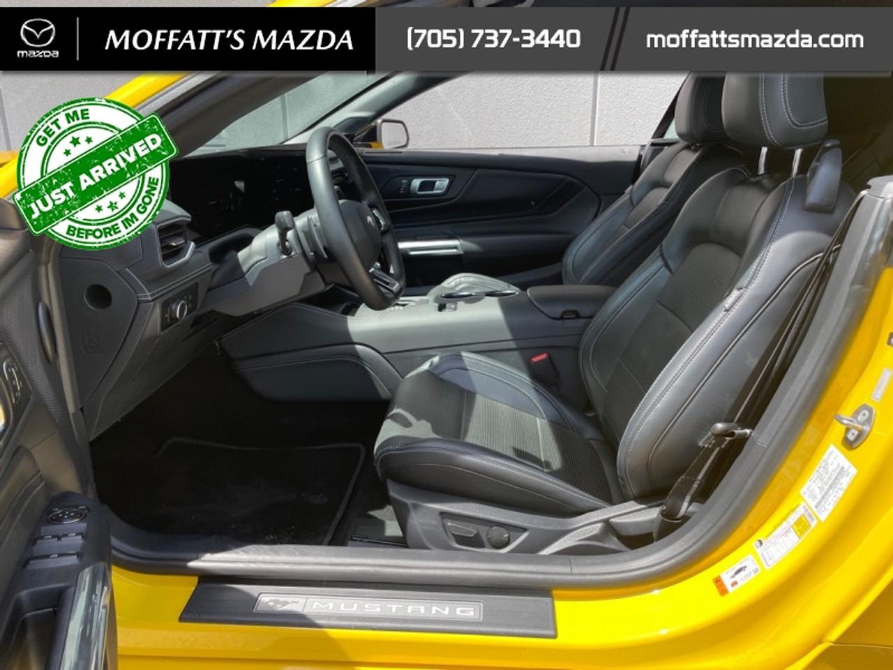 2024 Ford Mustang GT Premium Convertible Photo
