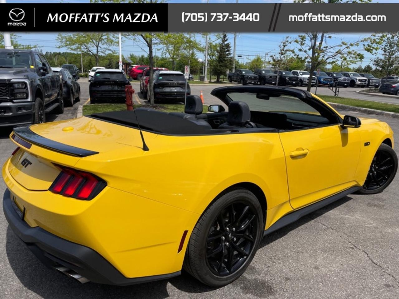 2024 Ford Mustang GT Premium Convertible Photo