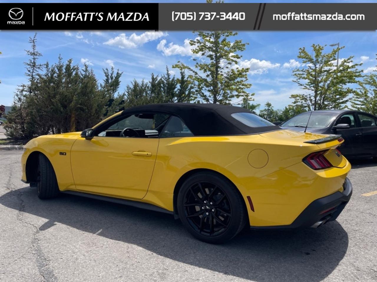 2024 Ford Mustang GT Premium Convertible Photo