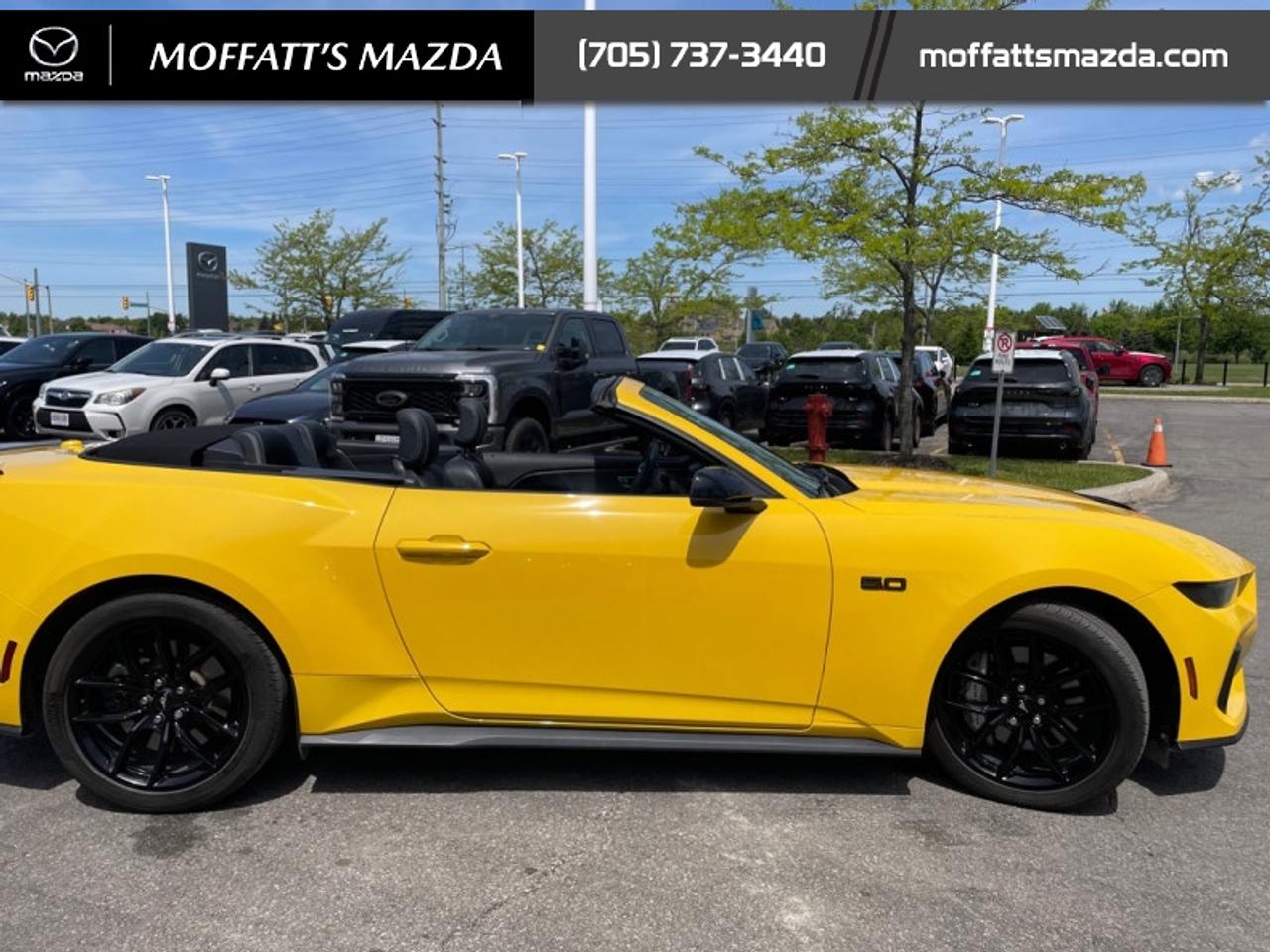 2024 Ford Mustang GT Premium Convertible Photo