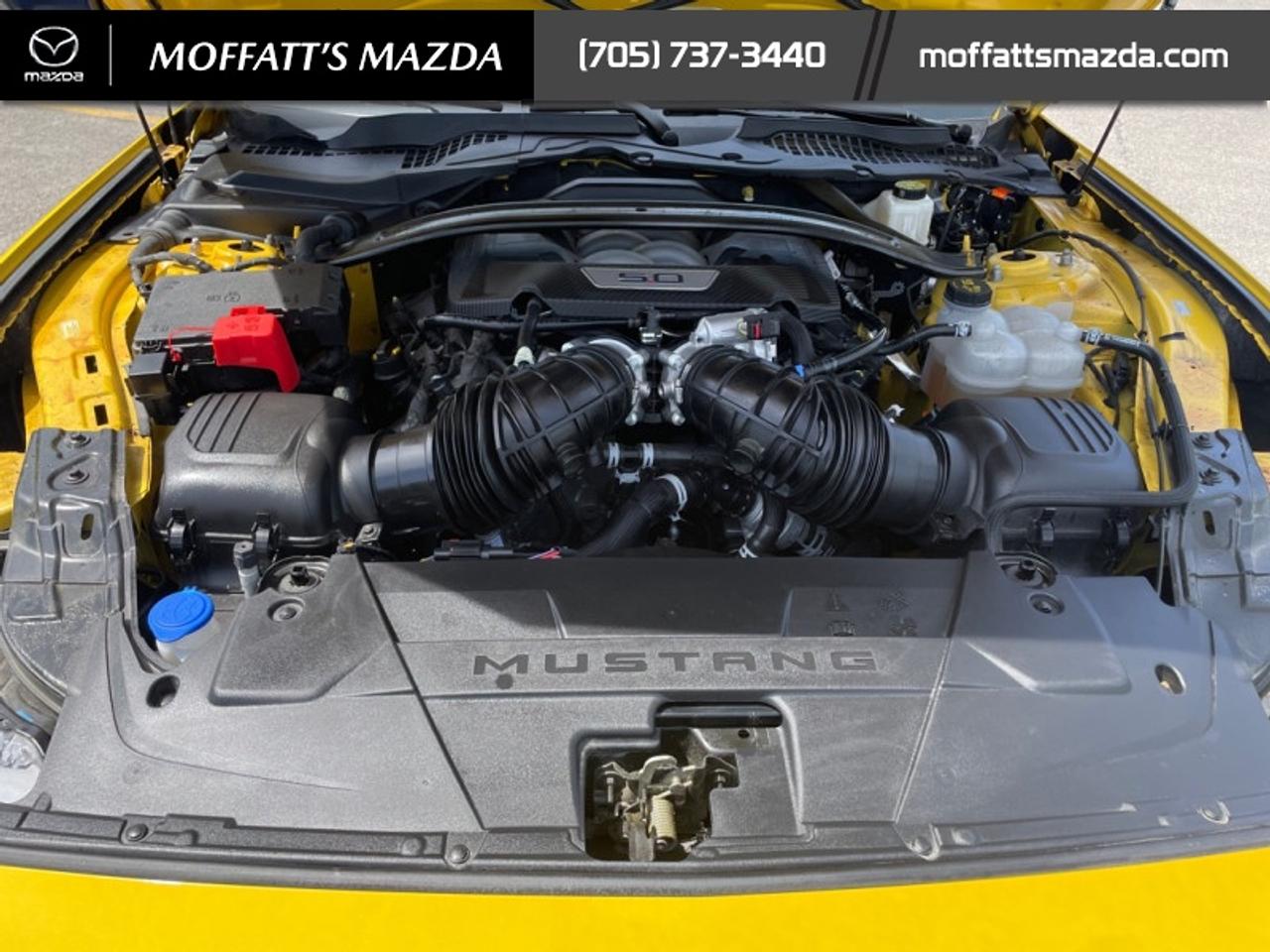 2024 Ford Mustang GT Premium Convertible Photo