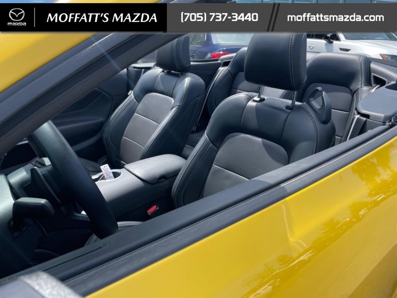 2024 Ford Mustang GT Premium Convertible Photo