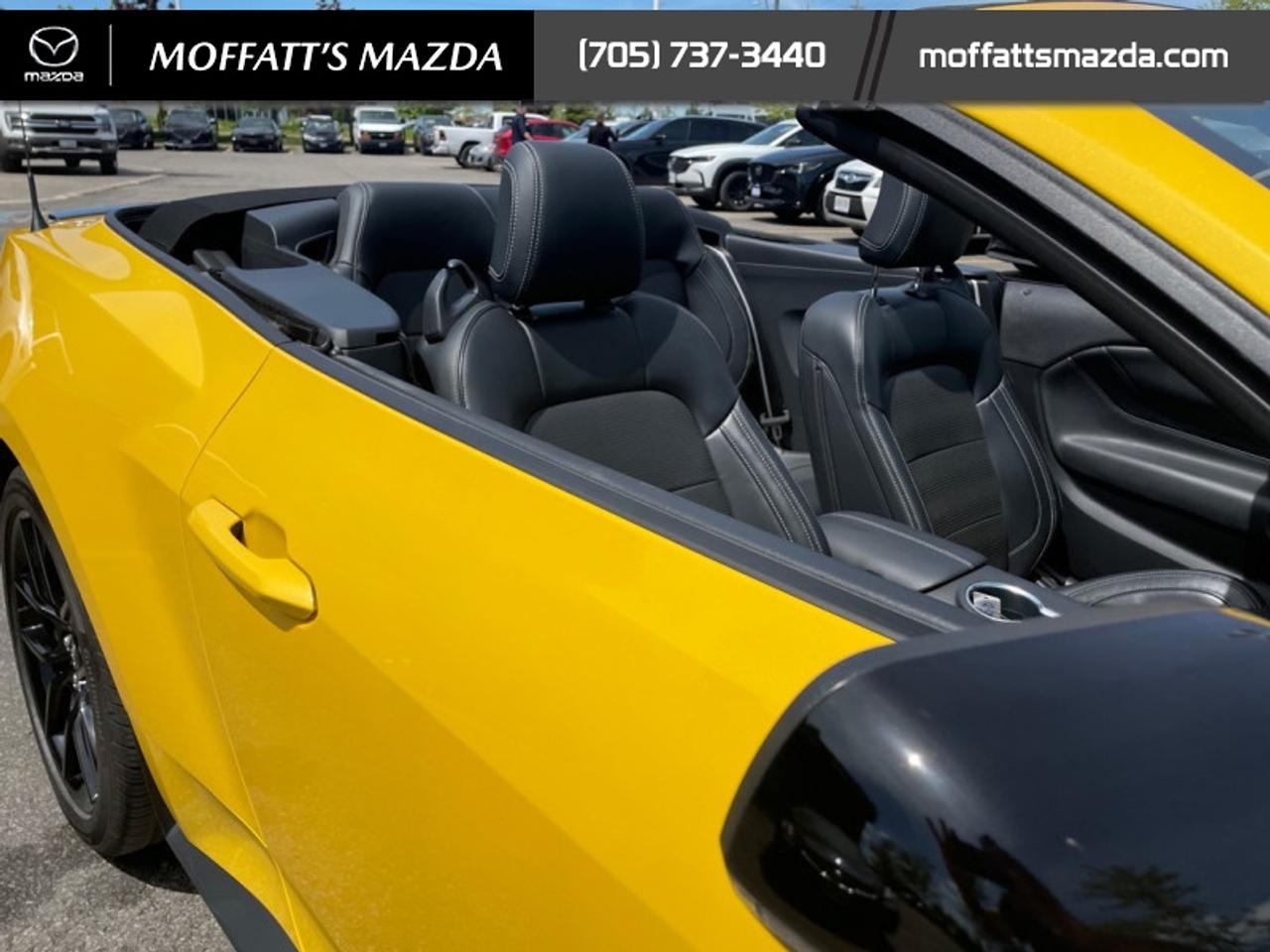 2024 Ford Mustang GT Premium Convertible Photo