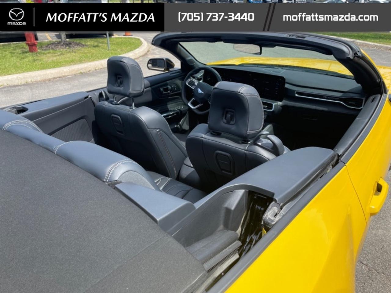 2024 Ford Mustang GT Premium Convertible Photo