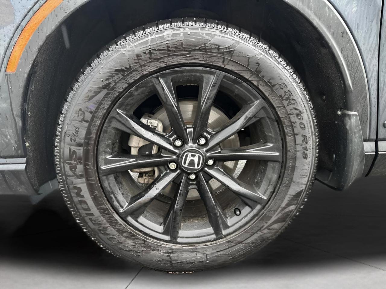 2023 Honda CR-V  Photo